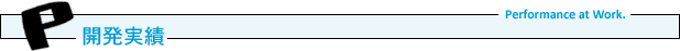 開発実績